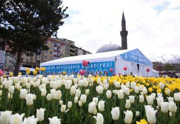 Büyükşehir’den Erzurum’a estetik dokunuş