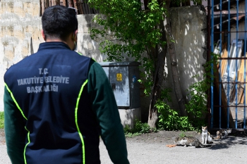 Yakutiye’den örnek davranış, sokak hayvanlarını unutmadı