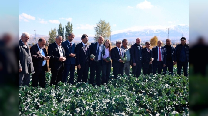 Erzurum’da Brokoli hasadı gerçekleştirildi