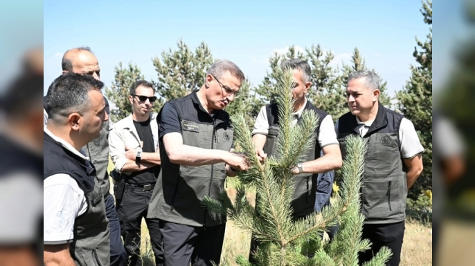 Vali Baruş, Orman çalışmalarını yerinde inceledi